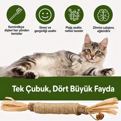 MiyavPati | Kemirdikçe Dişleri Temizleyen %100 Doğal Matatabi Çubuğu — "Kemirdikçe Temizlenen Dişler"