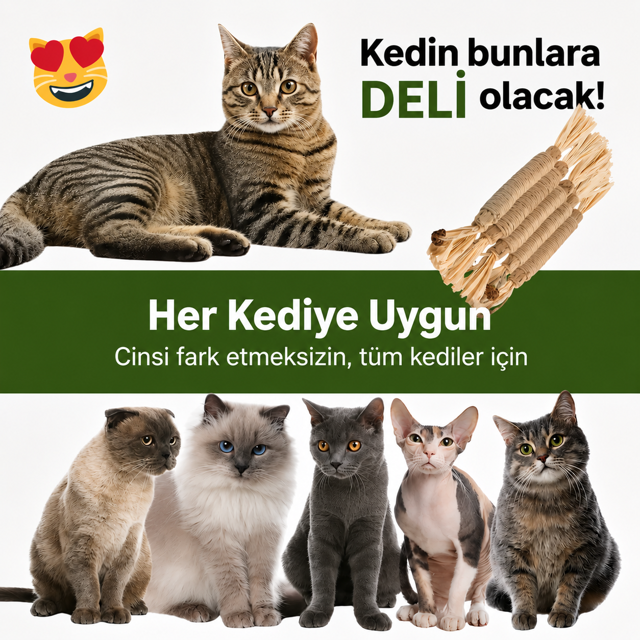 MiyavPati | Kemirdikçe Dişleri Temizleyen %100 Doğal Matatabi Çubuğu — "Kemirdikçe Temizlenen Dişler"