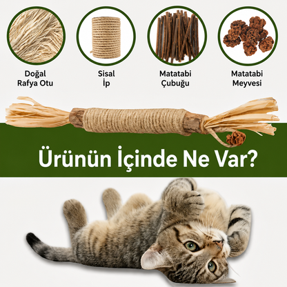 MiyavPati | Kemirdikçe Dişleri Temizleyen %100 Doğal Matatabi Çubuğu — "Kemirdikçe Temizlenen Dişler"