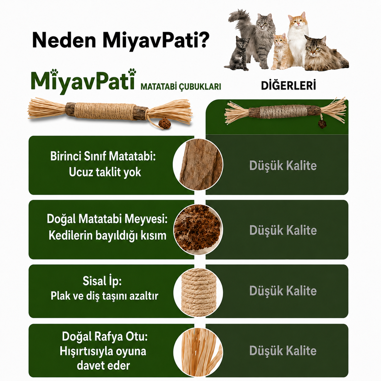 MiyavPati | Kemirdikçe Dişleri Temizleyen %100 Doğal Matatabi Çubuğu — "Kemirdikçe Temizlenen Dişler"