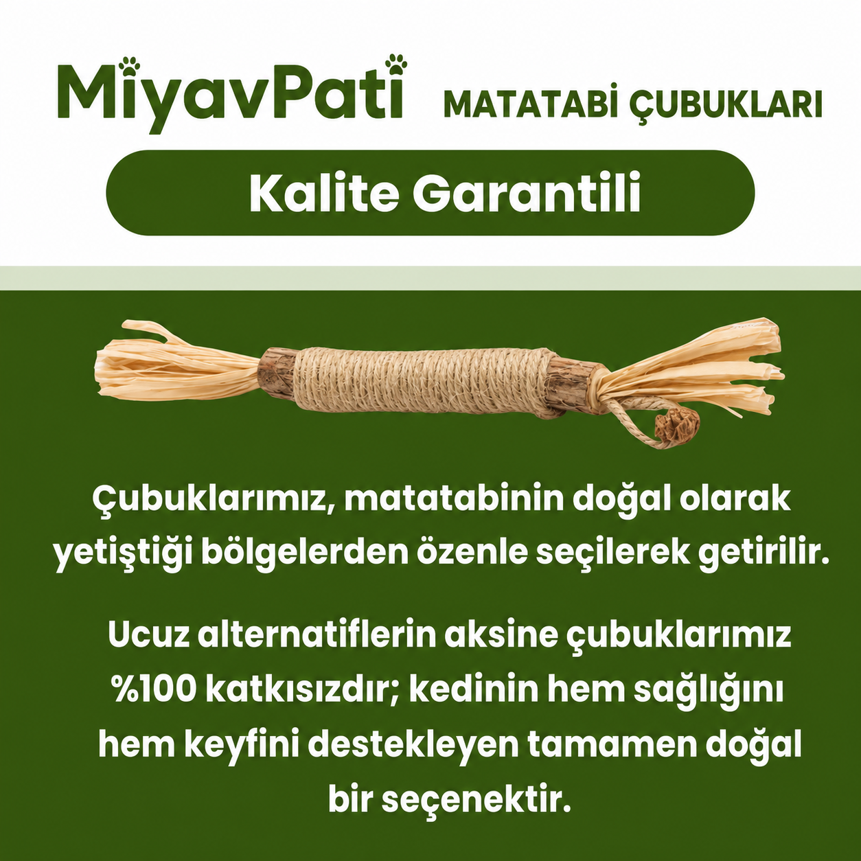 MiyavPati | Kemirdikçe Dişleri Temizleyen %100 Doğal Matatabi Çubuğu — "Kemirdikçe Temizlenen Dişler"