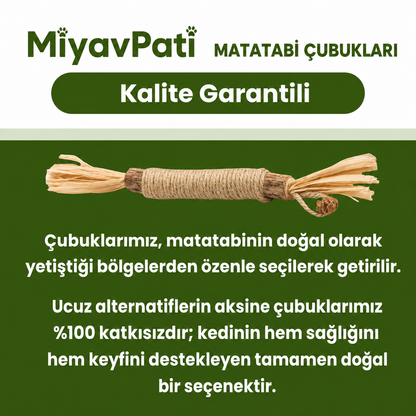 MiyavPati | Kemirdikçe Dişleri Temizleyen %100 Doğal Matatabi Çubuğu — "Kemirdikçe Temizlenen Dişler"